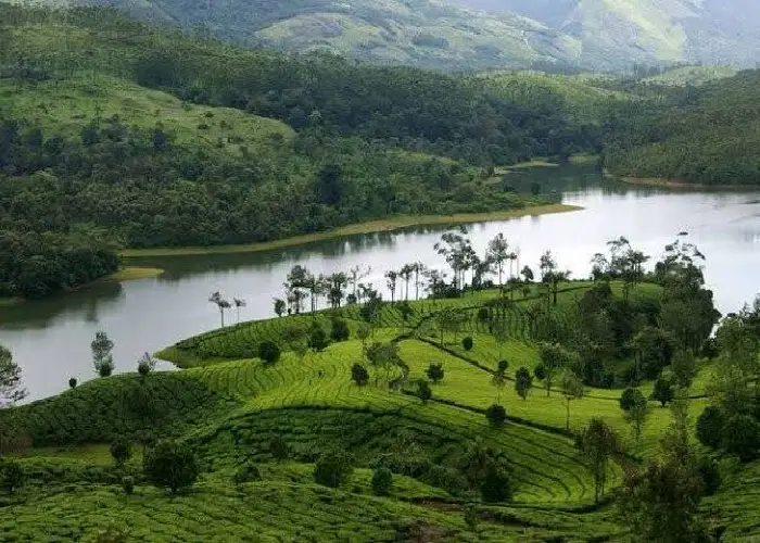 Coorg Wayanad Ooty Vagamon Tour Package
