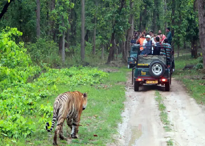 Madhya Pradesh Wildlife & Heritage Tour Package