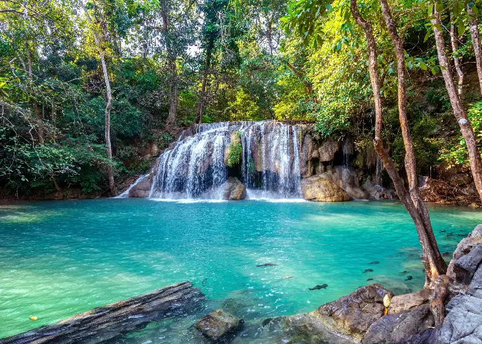 Pachmarhi Hill Station Tour Package